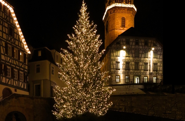 Christmas tree Photo: Klaus Eitel / pixelio.de